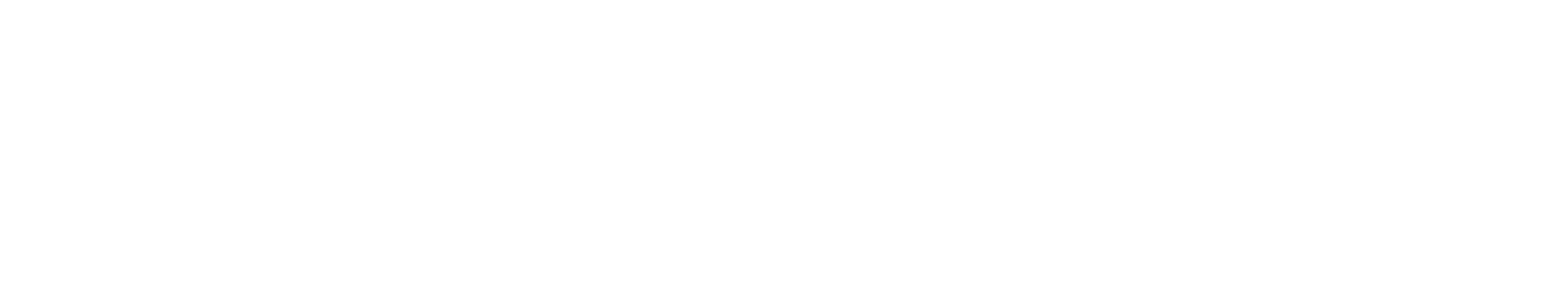 DeepSeek